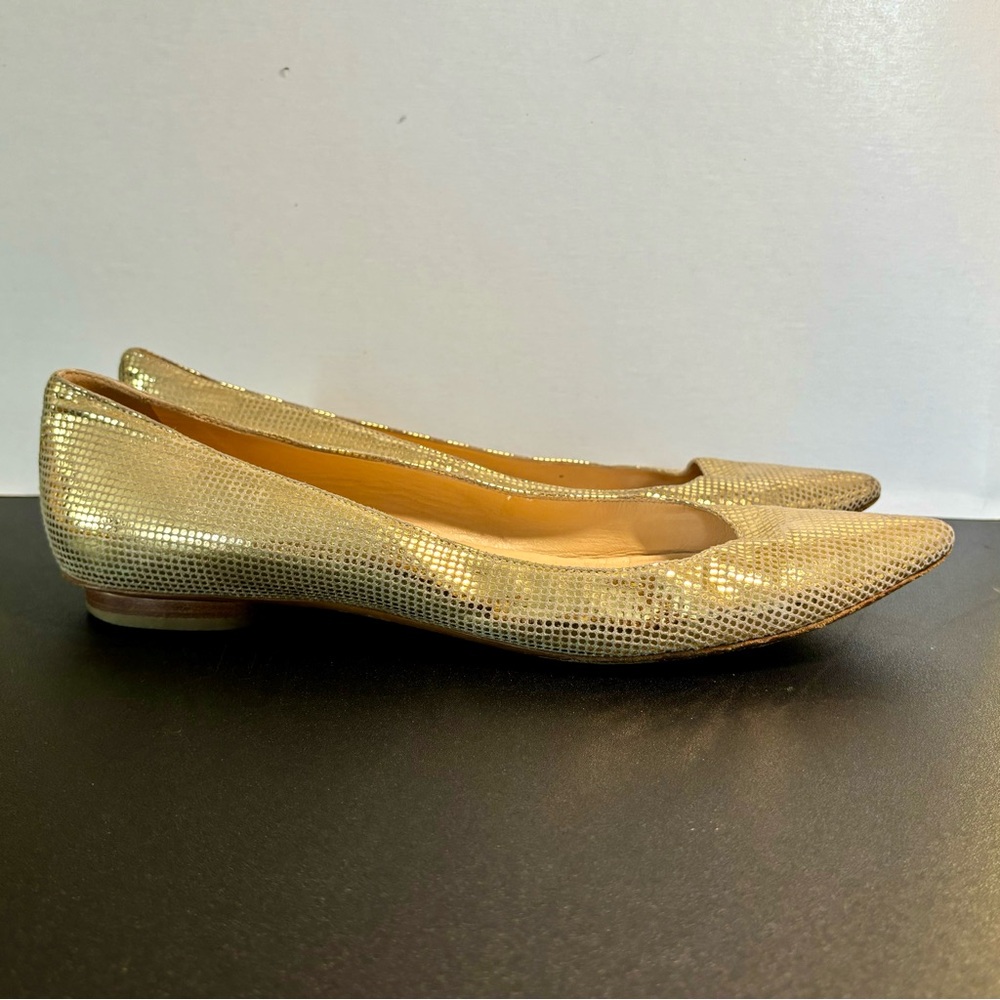 Barneys New York CO-OP pointy toe flats.